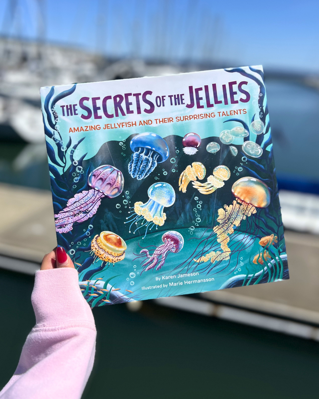 Secrets of the Jellies