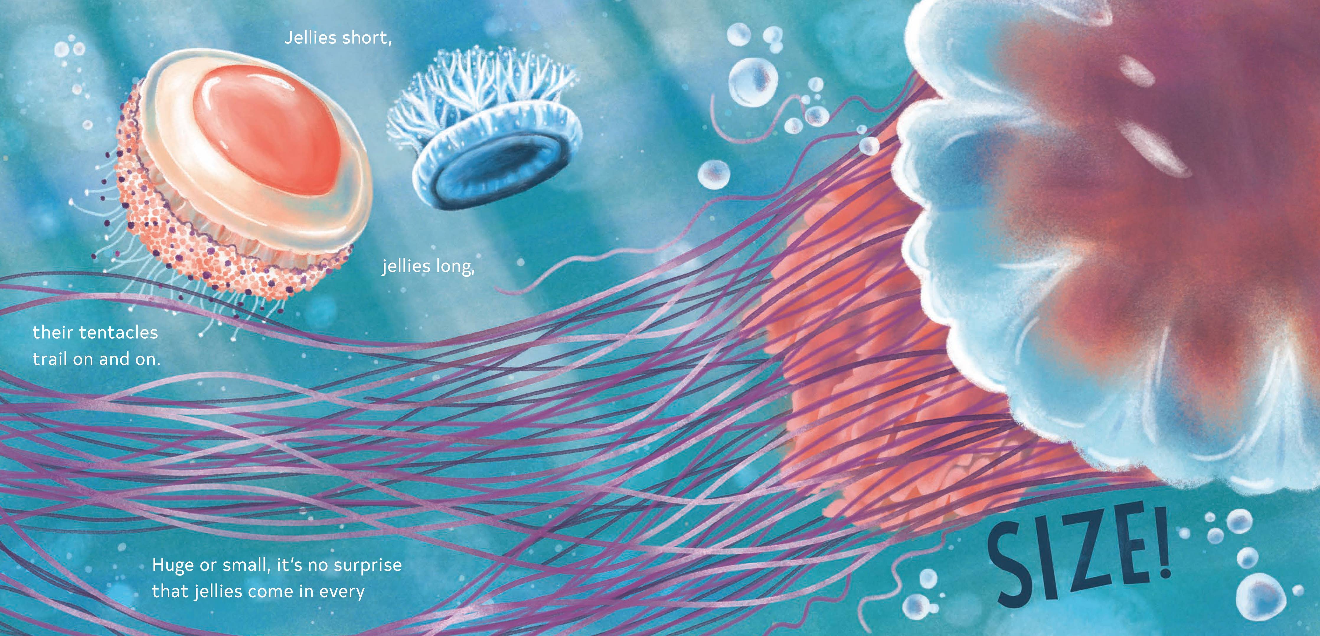 Secrets of the Jellies
