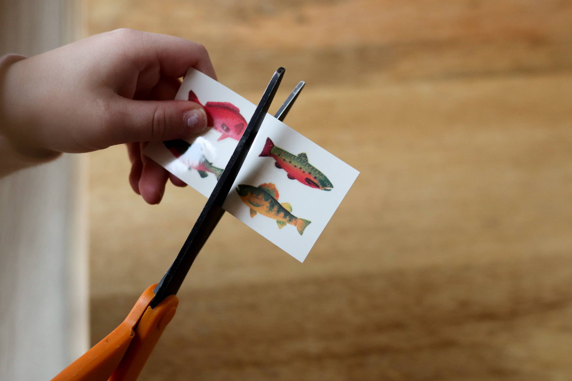 Gone Fishin' Temporary Tattoos