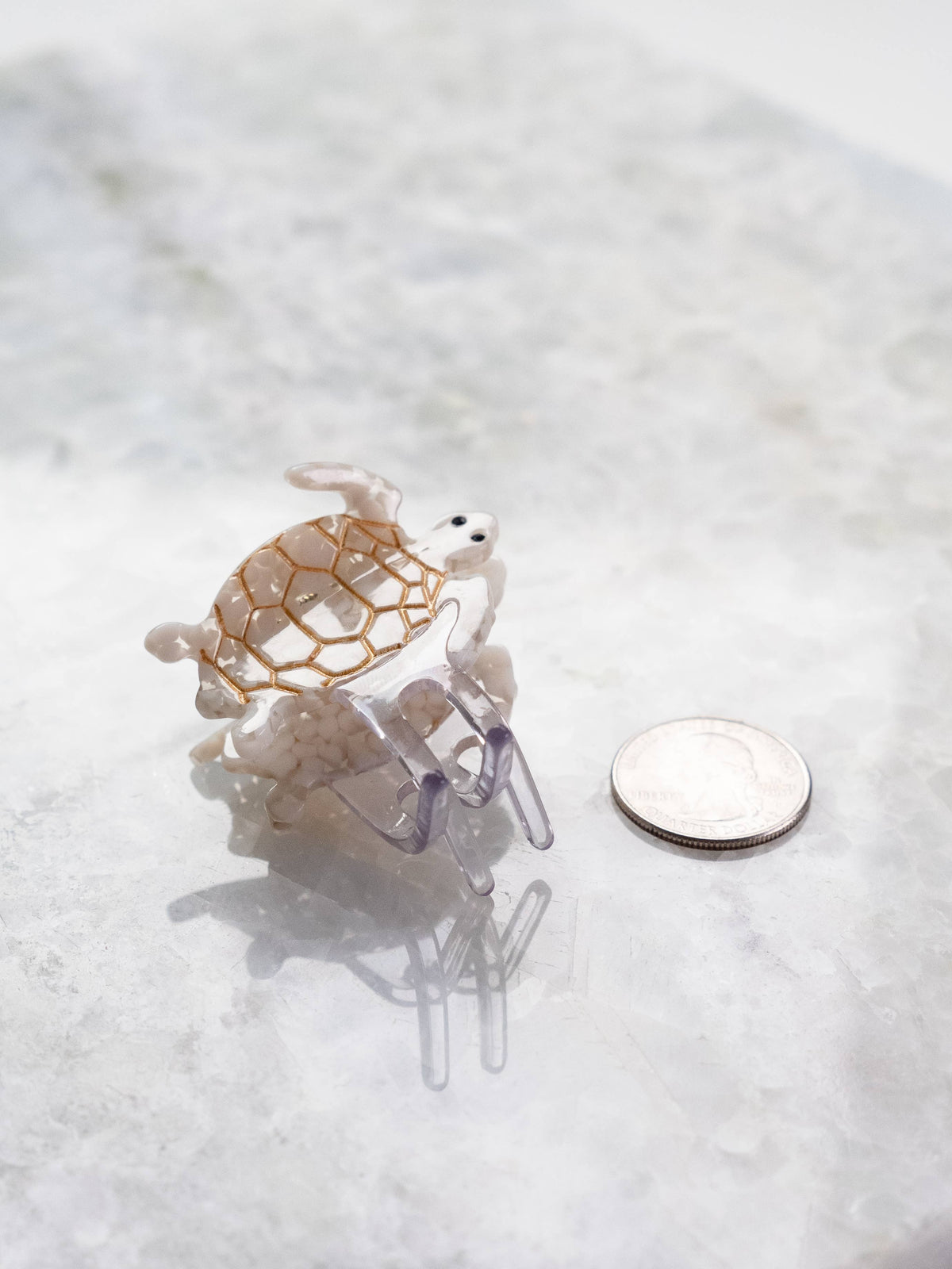 Eco Friendly Turtle Hair Clips, Small