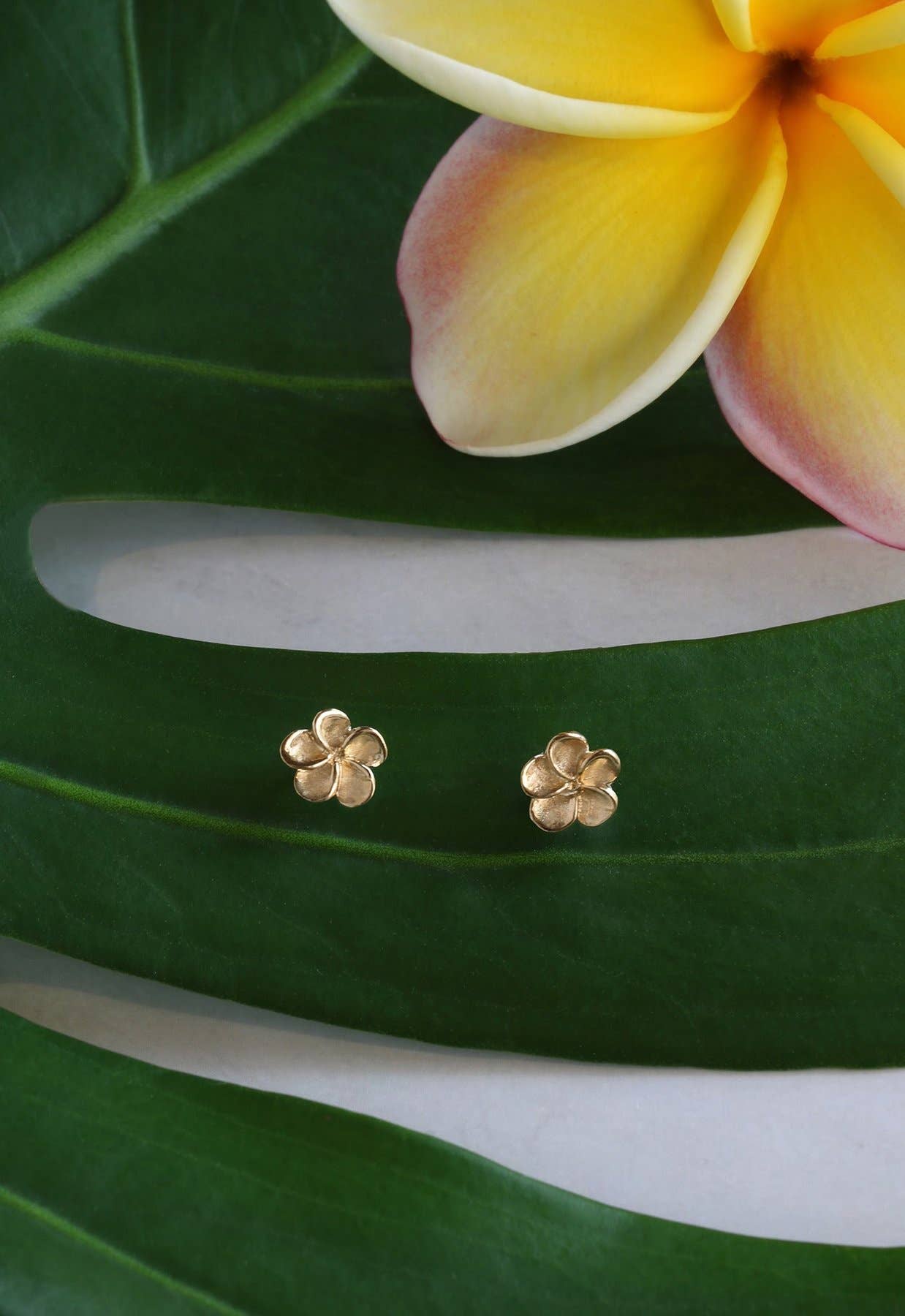 Small Petal Plumeria Studs
