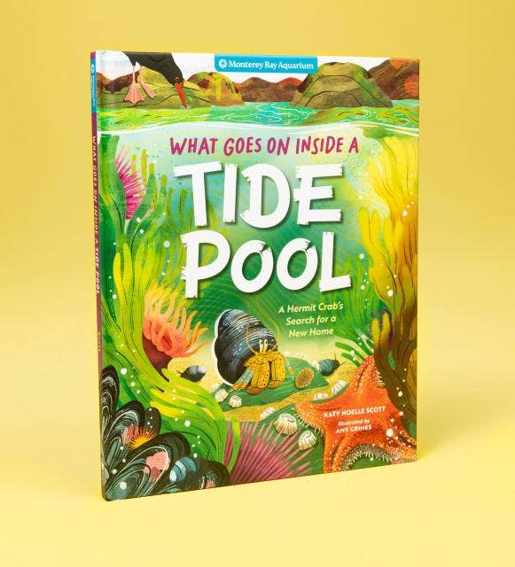 What Goes On Inside a Tide Pool