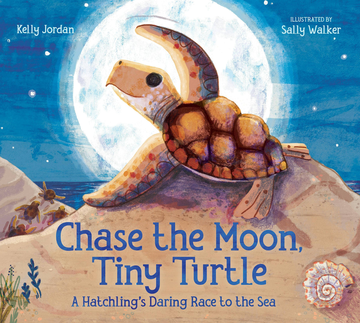 Chase The Moon, Tiny Turtle: Hatchling's Sea Race