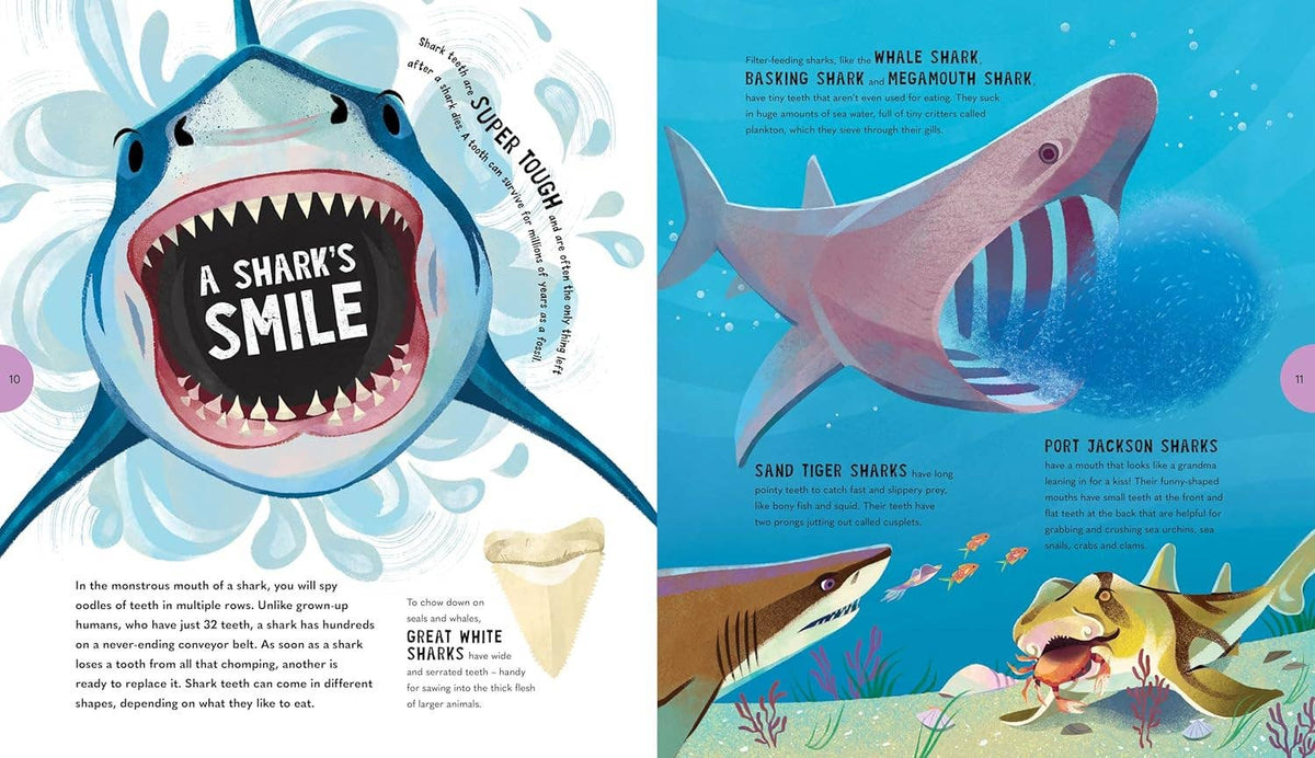 Sensational Sharks