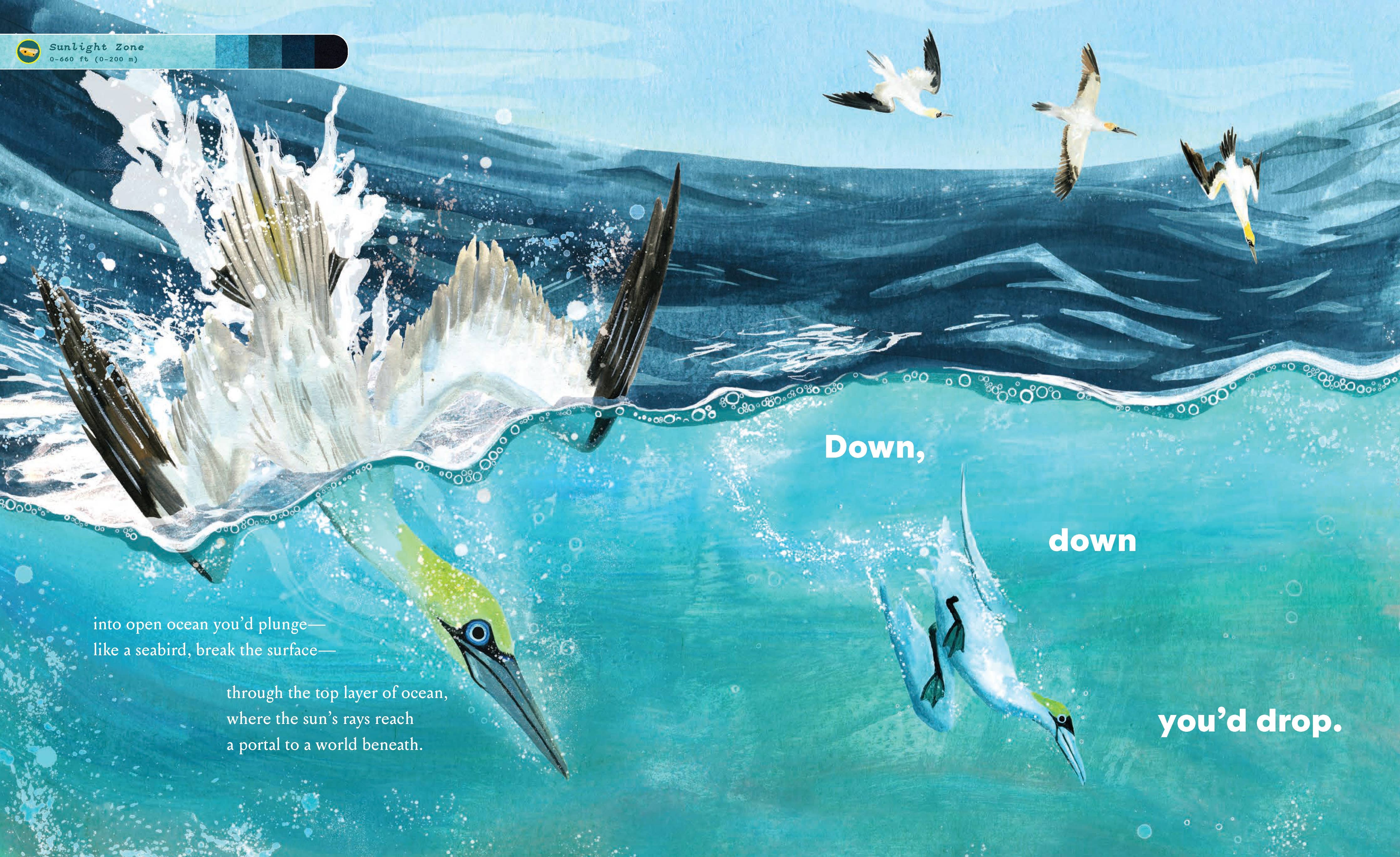 If You Went to the Bottom of the Ocean
