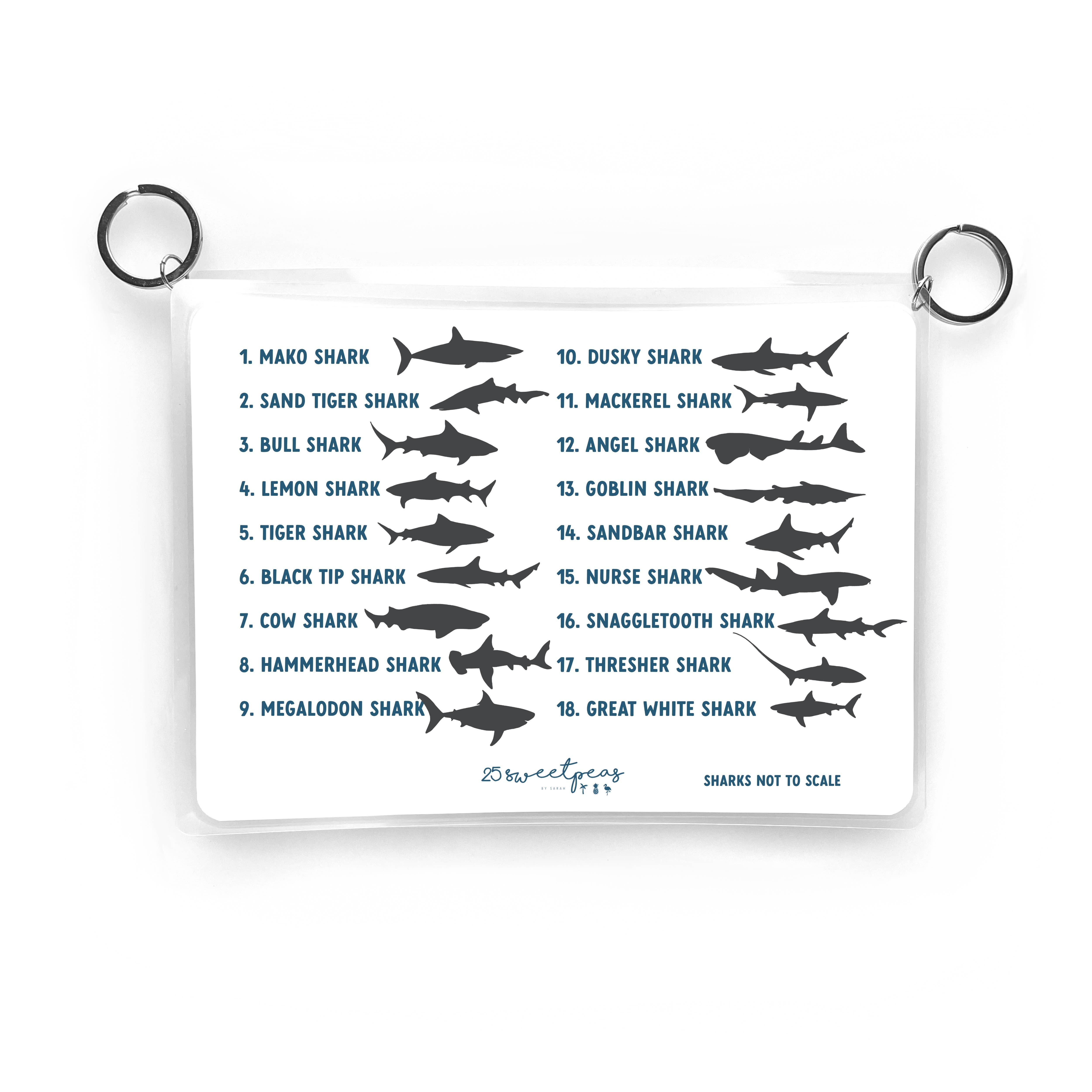 25 Sweetpeas - Shark Tooth Guide, Waterproof Reference Guide, Beach ID