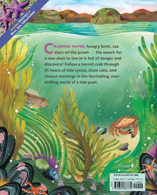 What Goes On Inside a Tide Pool
