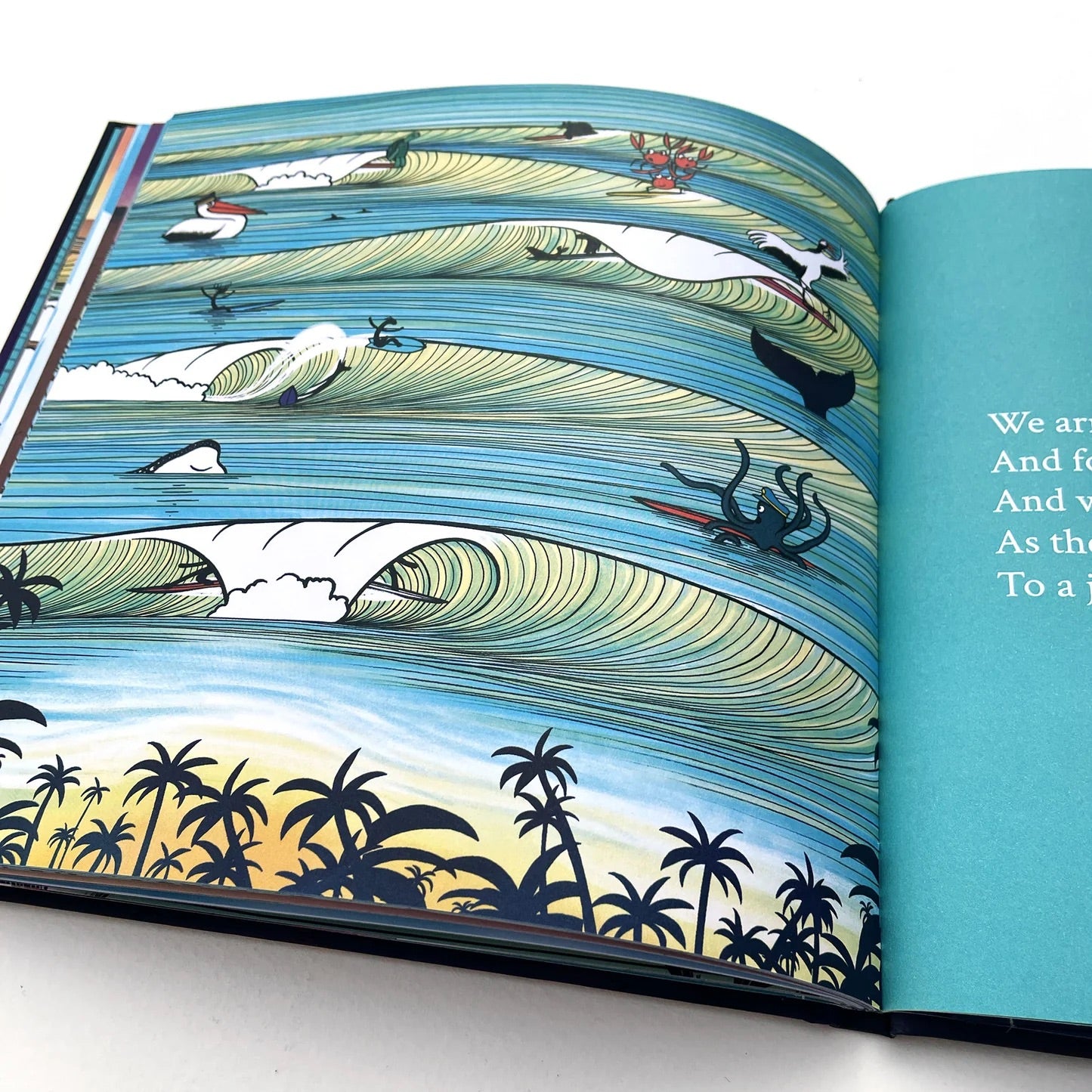 Surfing Animals - The Magic Trip