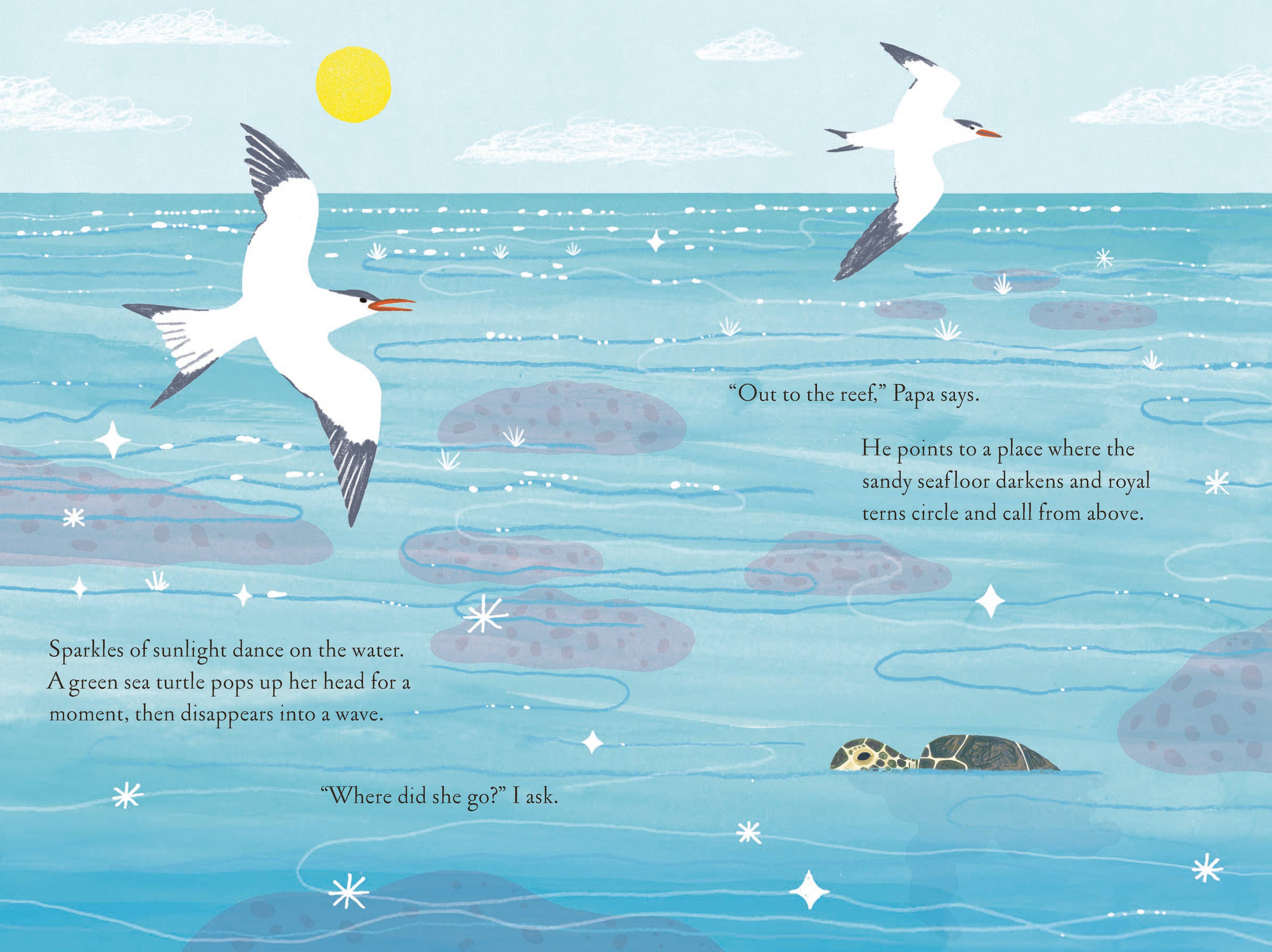 Over and Under the Coral Reef