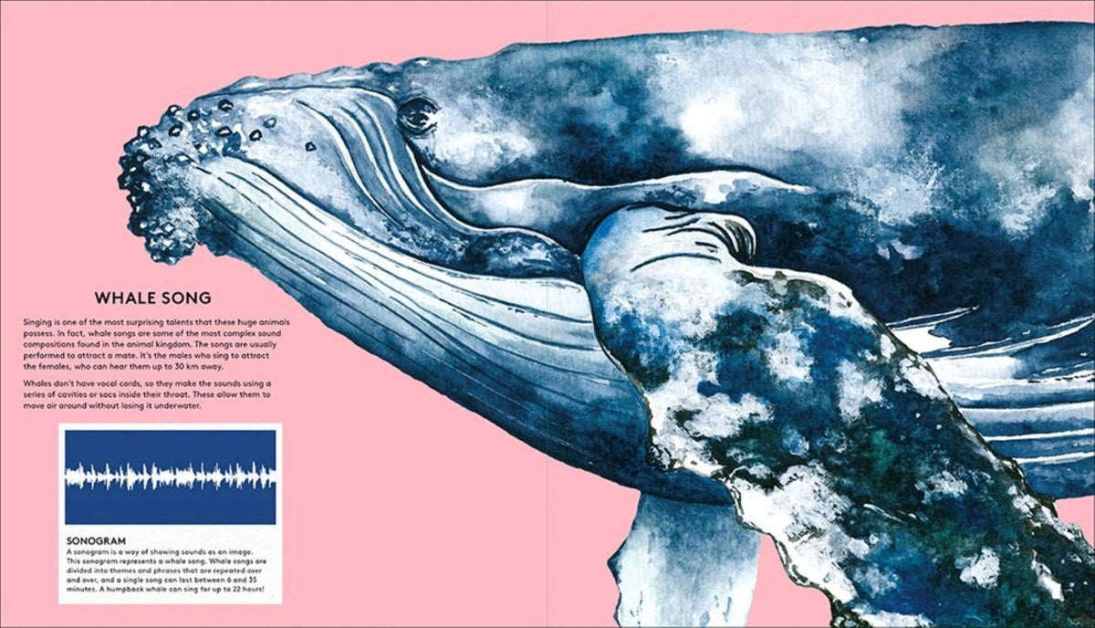 The Secret Life of Whales