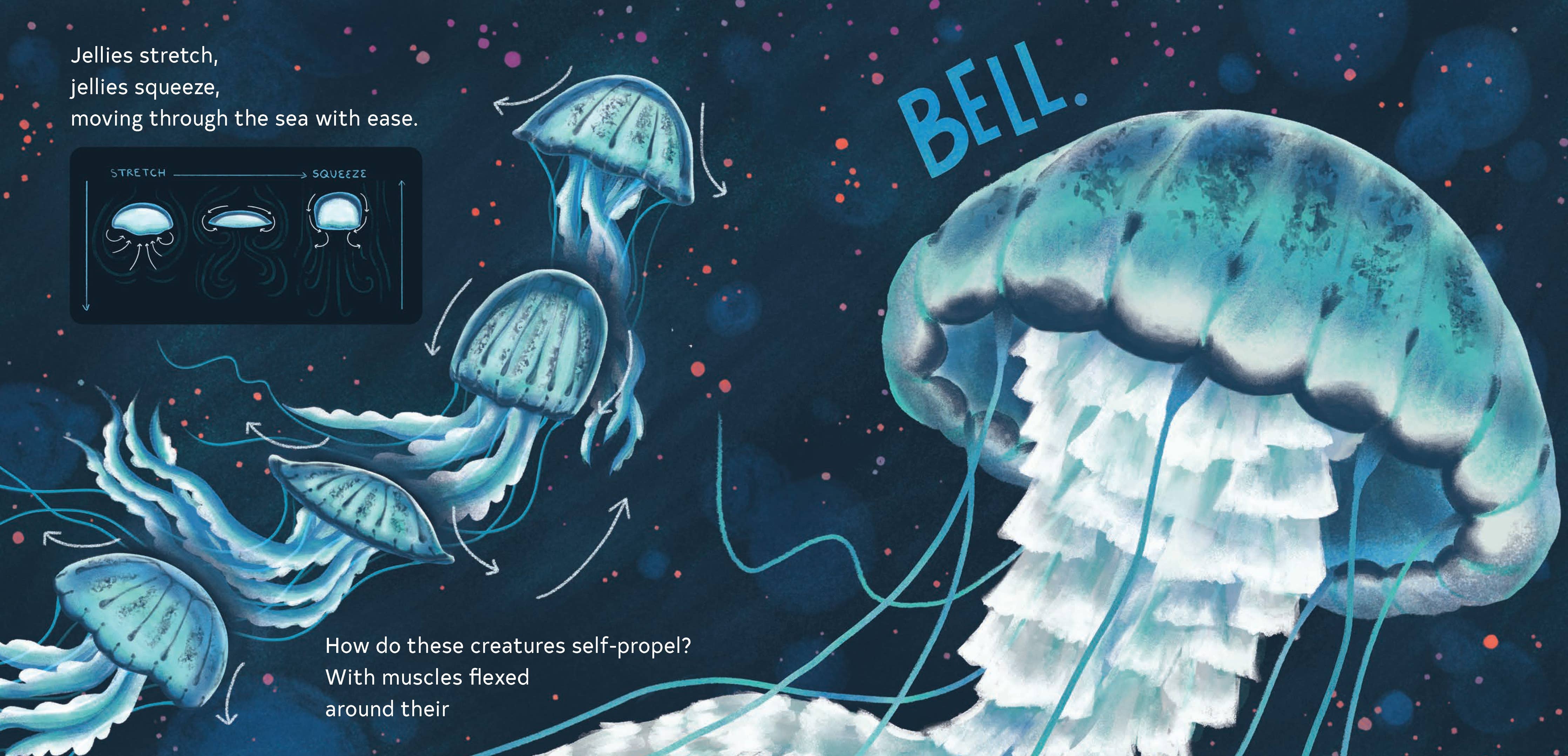 Secrets of the Jellies