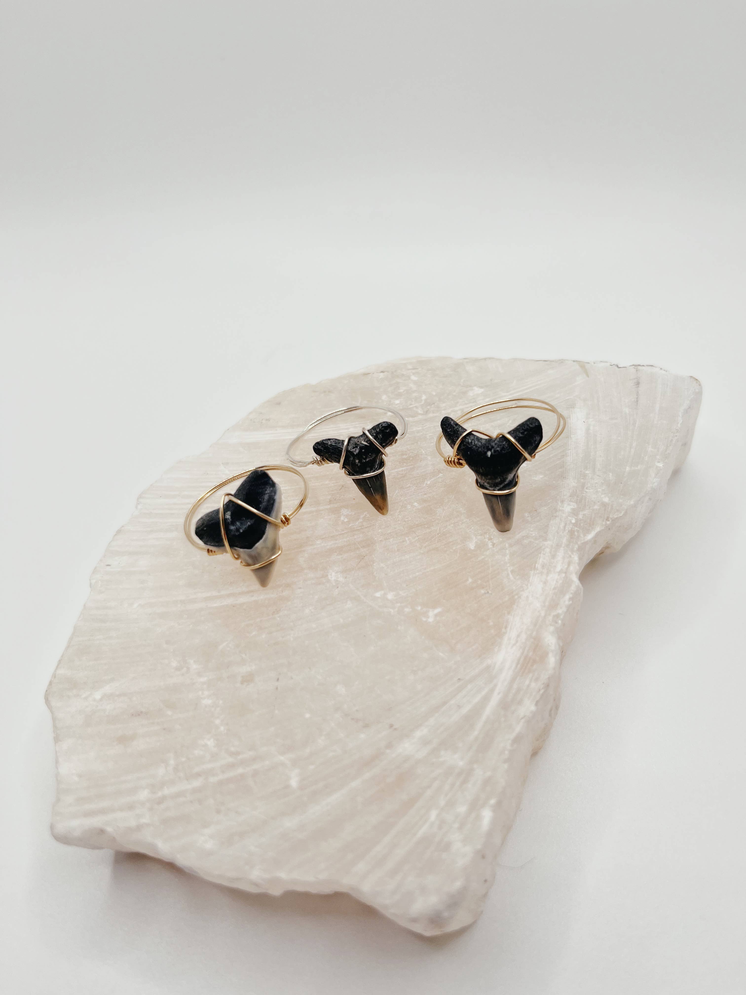 Shark Tooth Wire Wrapped Ring
