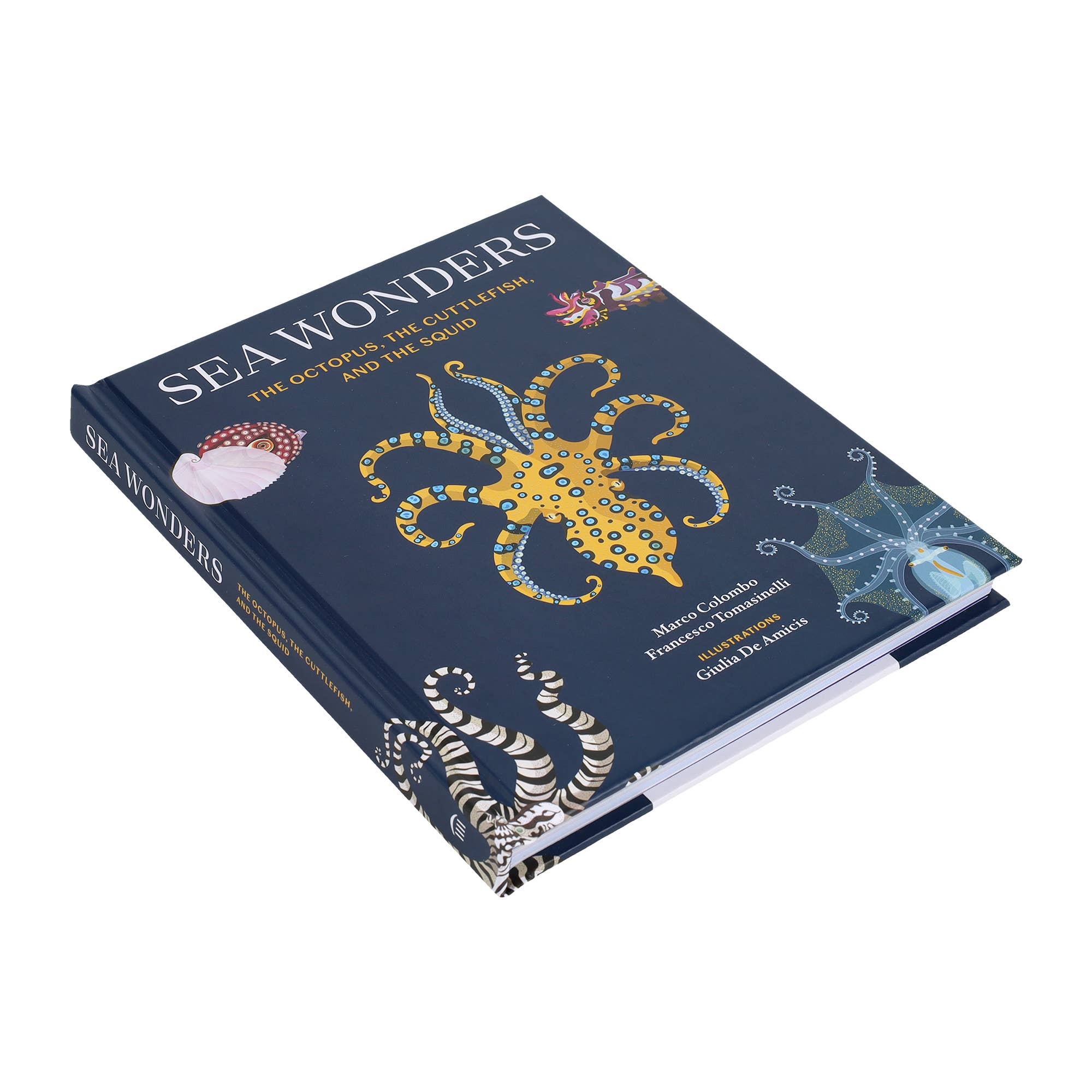 Sea Wonders