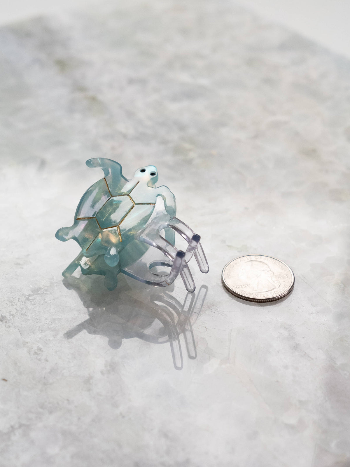 Eco Friendly Turtle Hair Clips, Small
