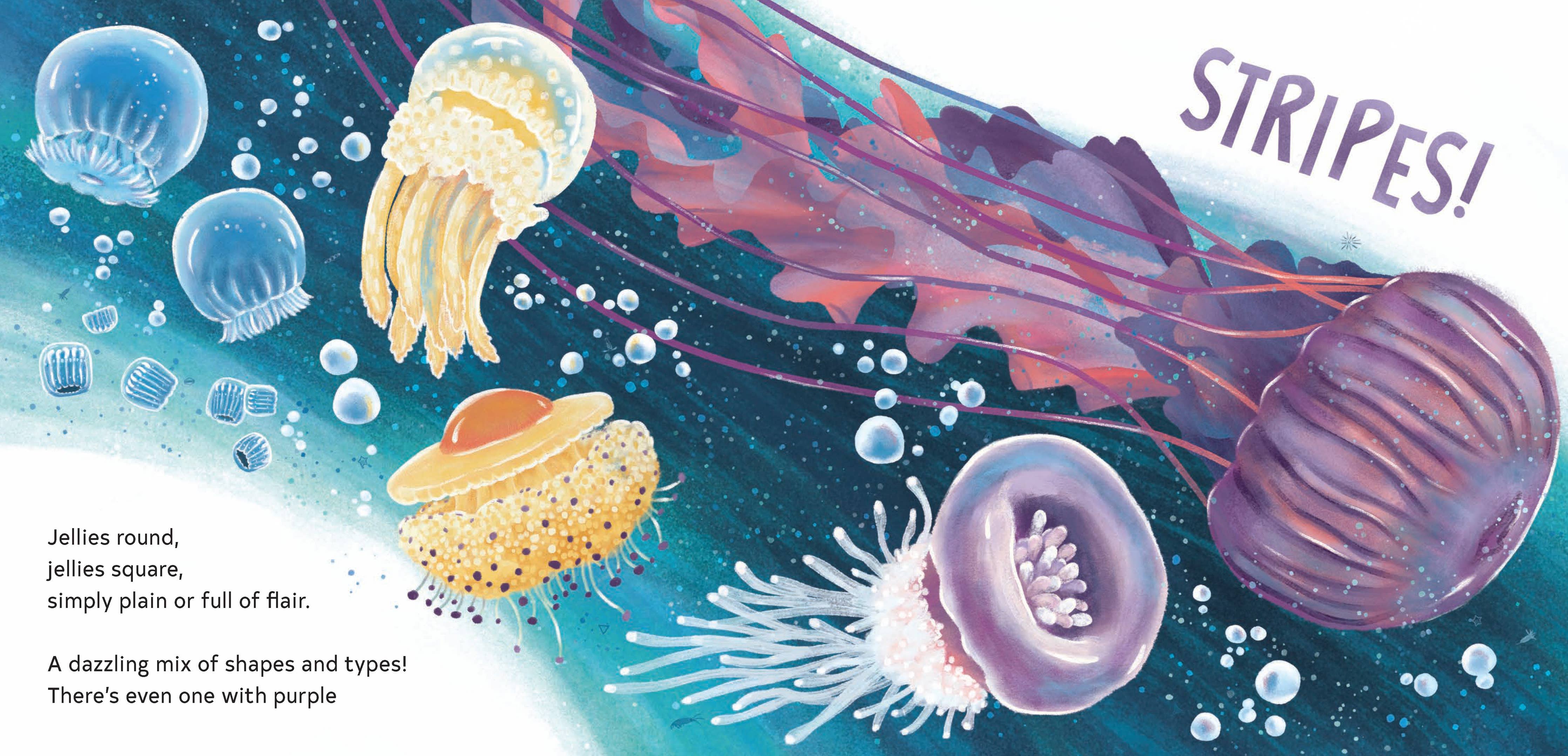 Secrets of the Jellies