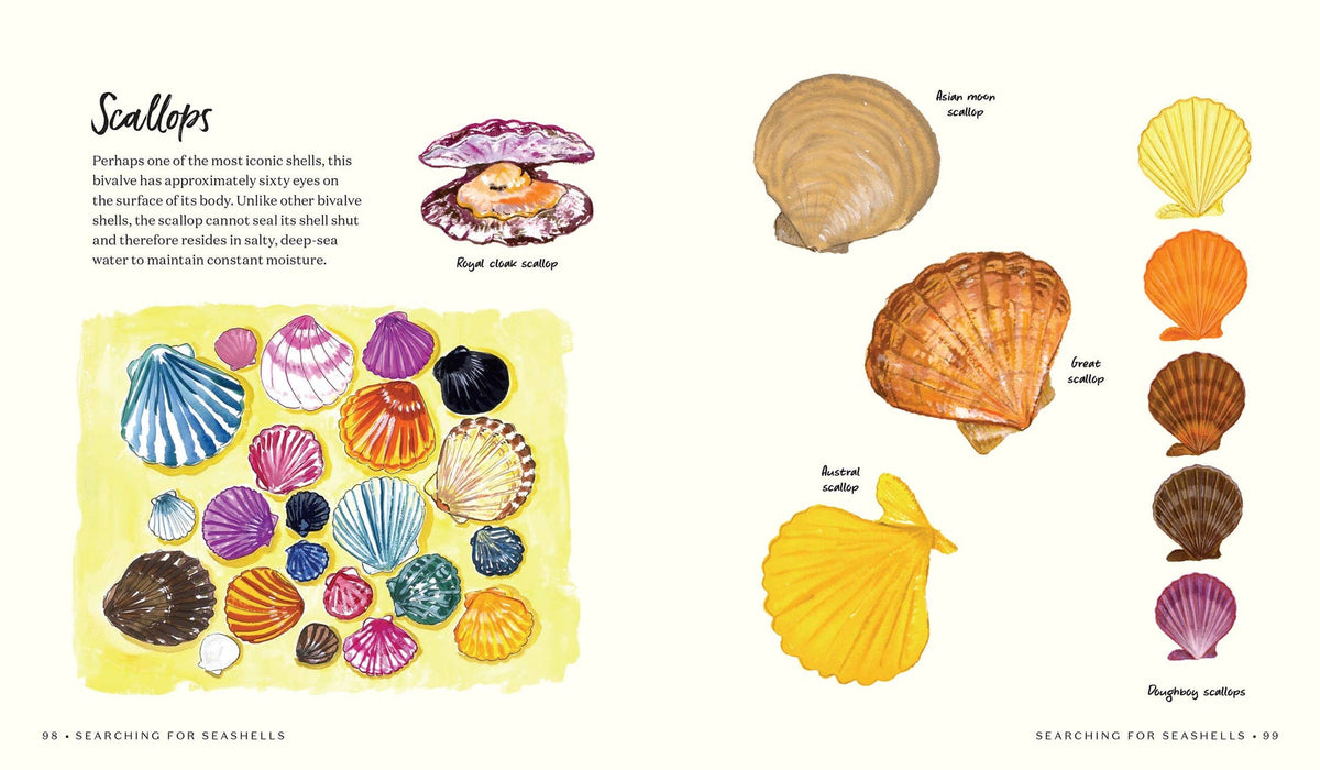 Searching for Seashells