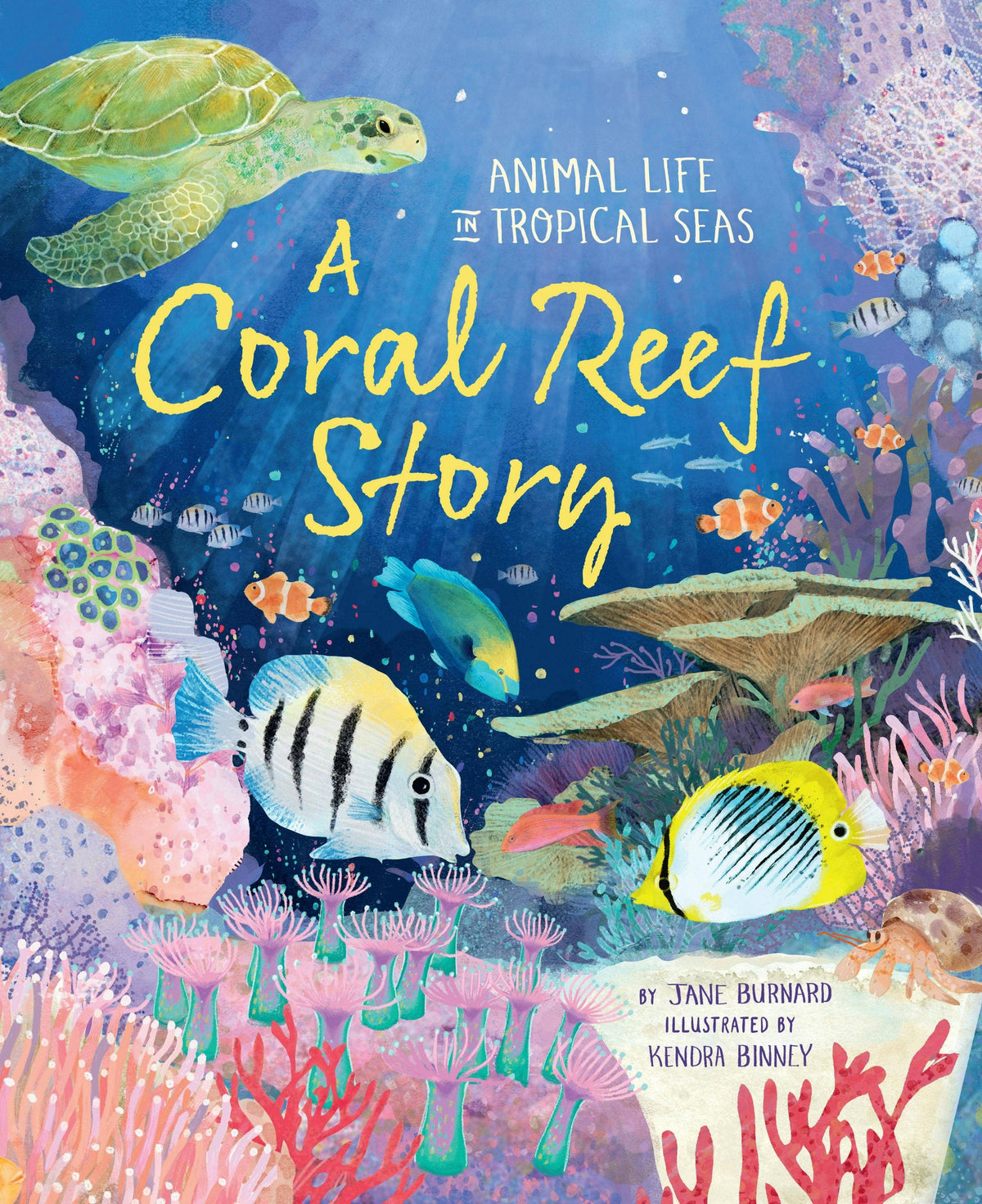 Coral Reef Story: Animal Life In Tropical Seas
