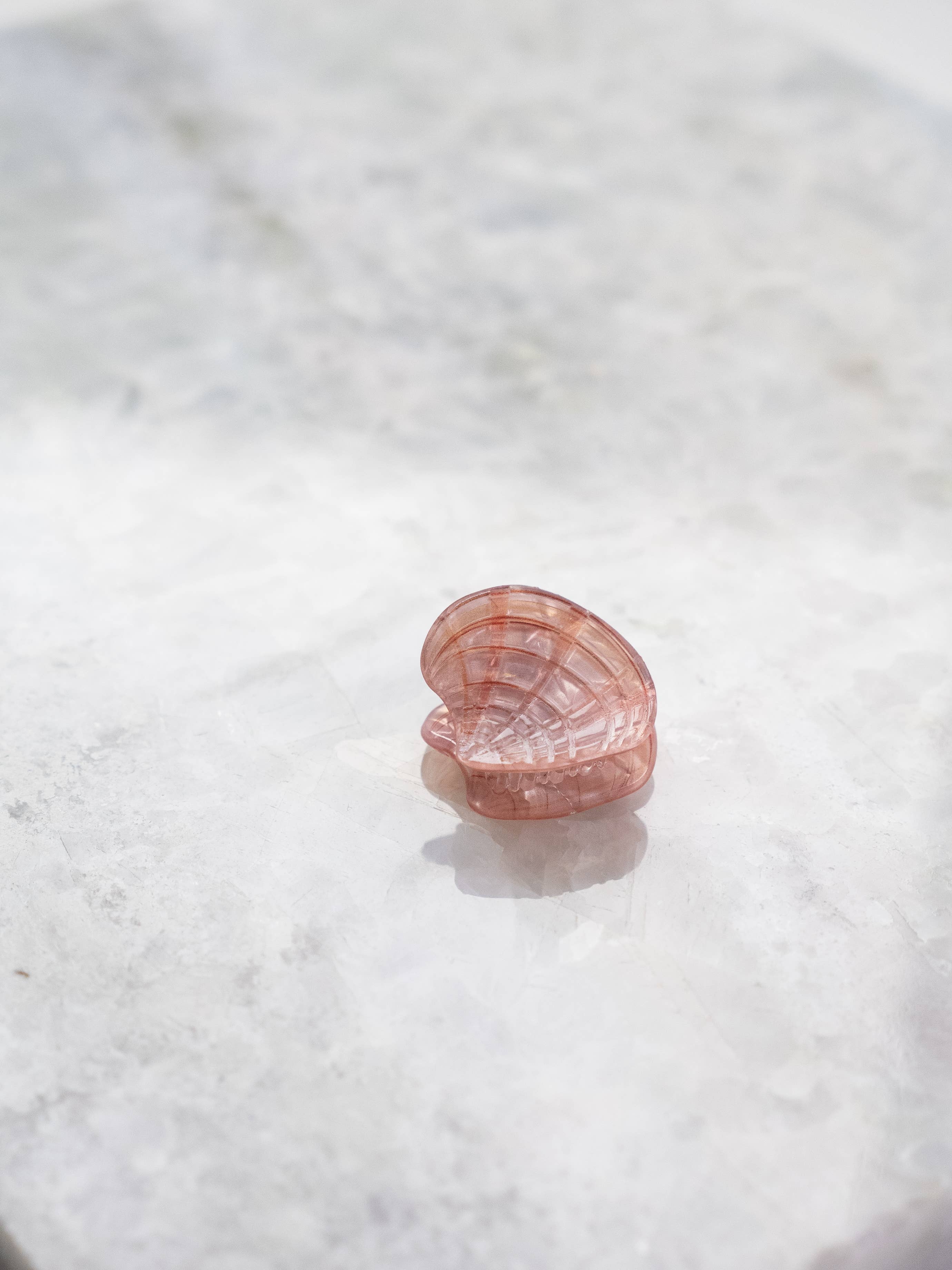 Eco Friendly Seashell Hair Clips, Tiny
