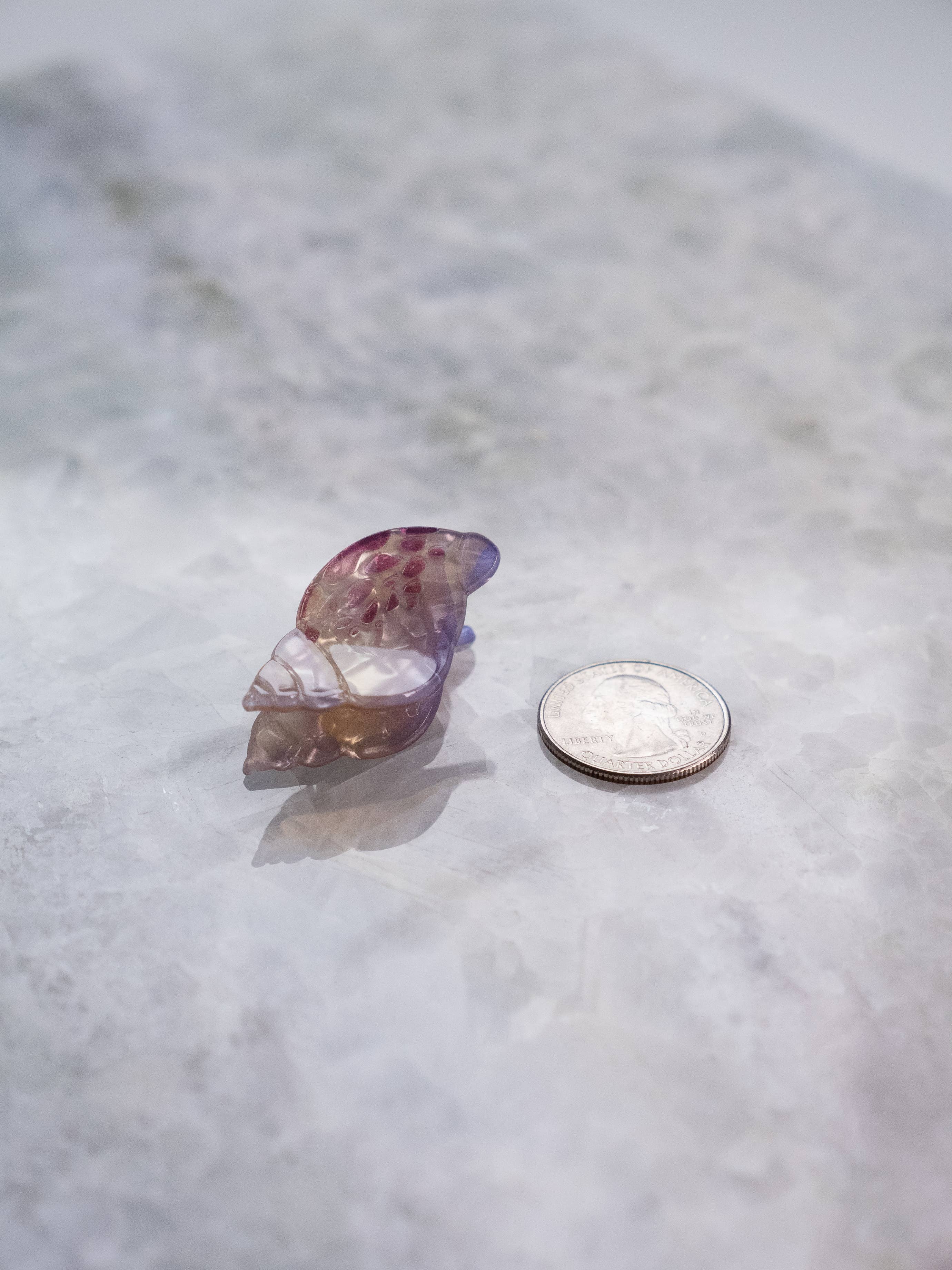 Eco Friendly Seashell Hair Clips, Tiny