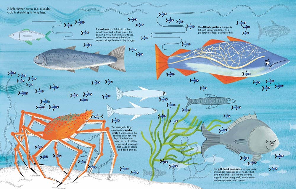 1001 Fish