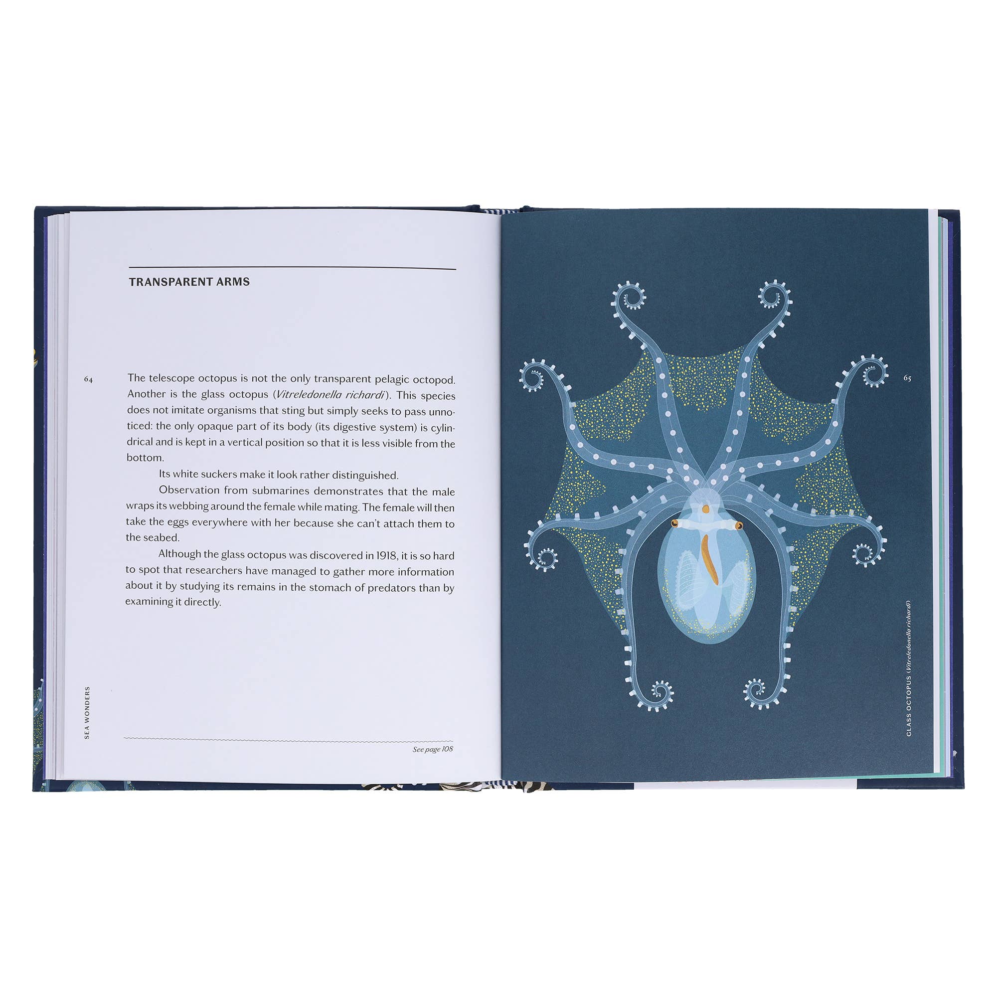 Sea Wonders