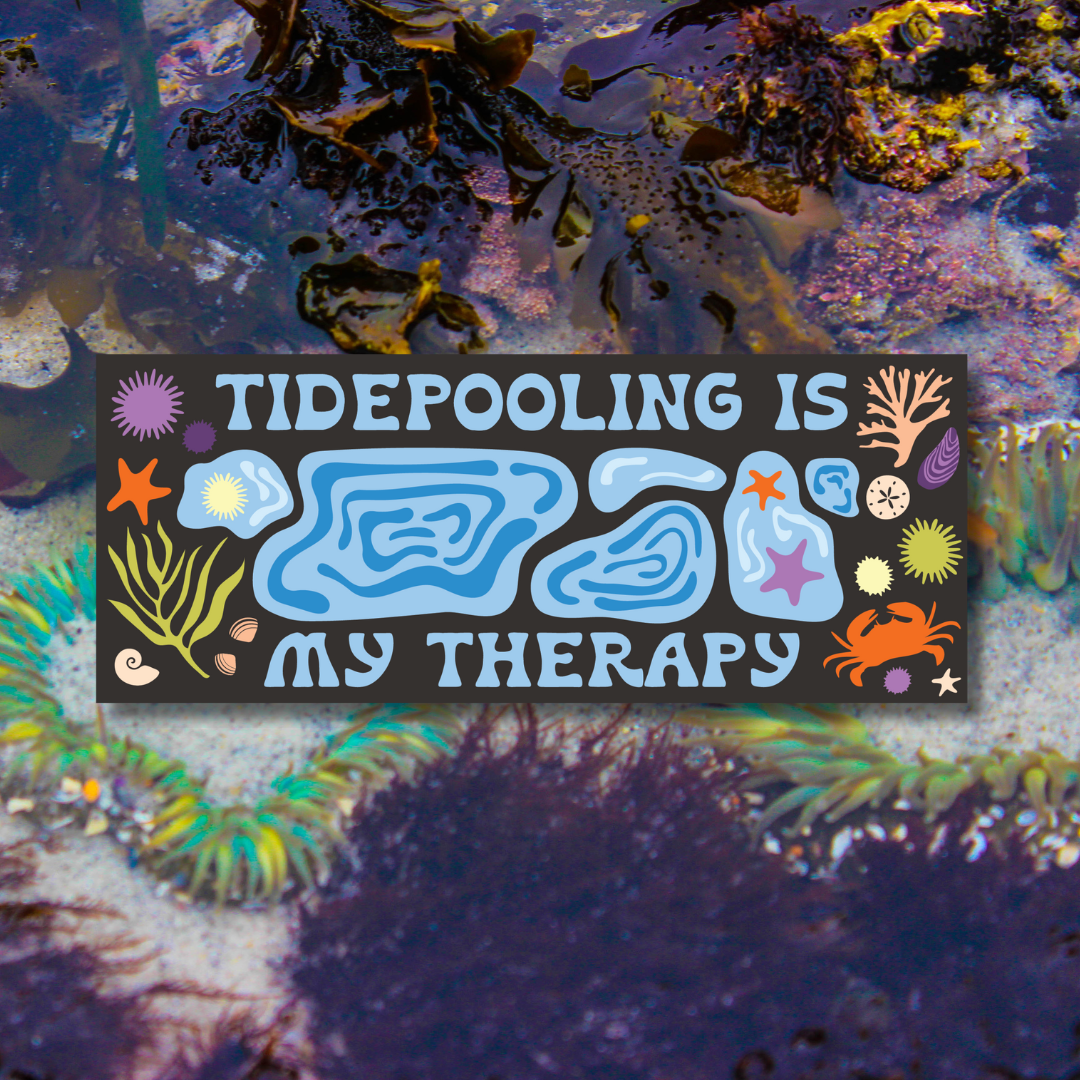 Tidepooling is my Therapy Bumper Sticker