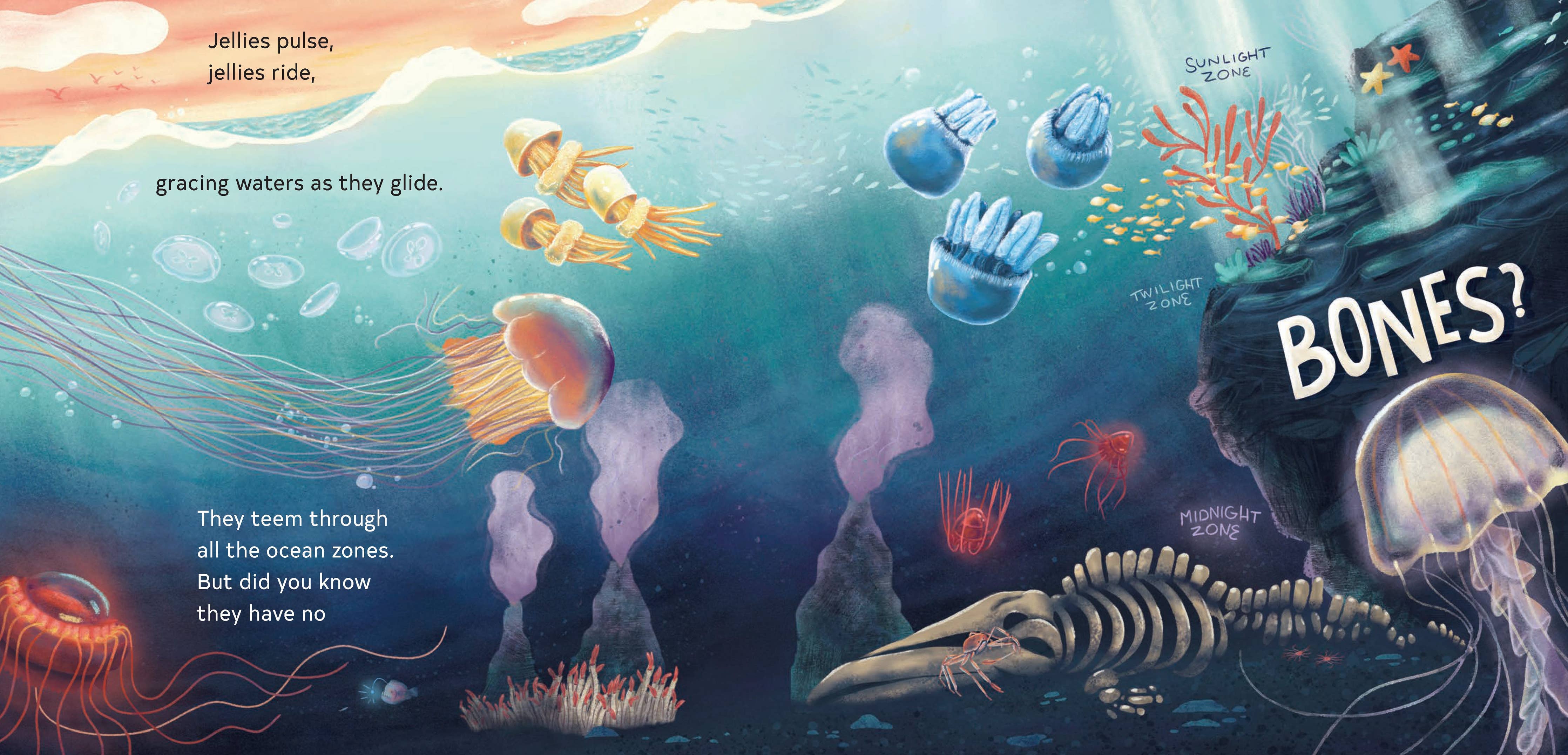 Secrets of the Jellies