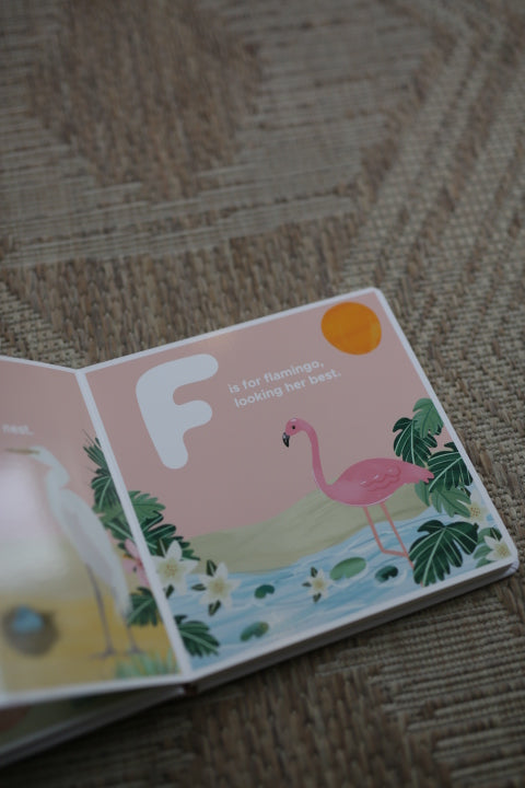 Florida Alphabet ABC Baby Book Coastal Gift - Lucy's Room