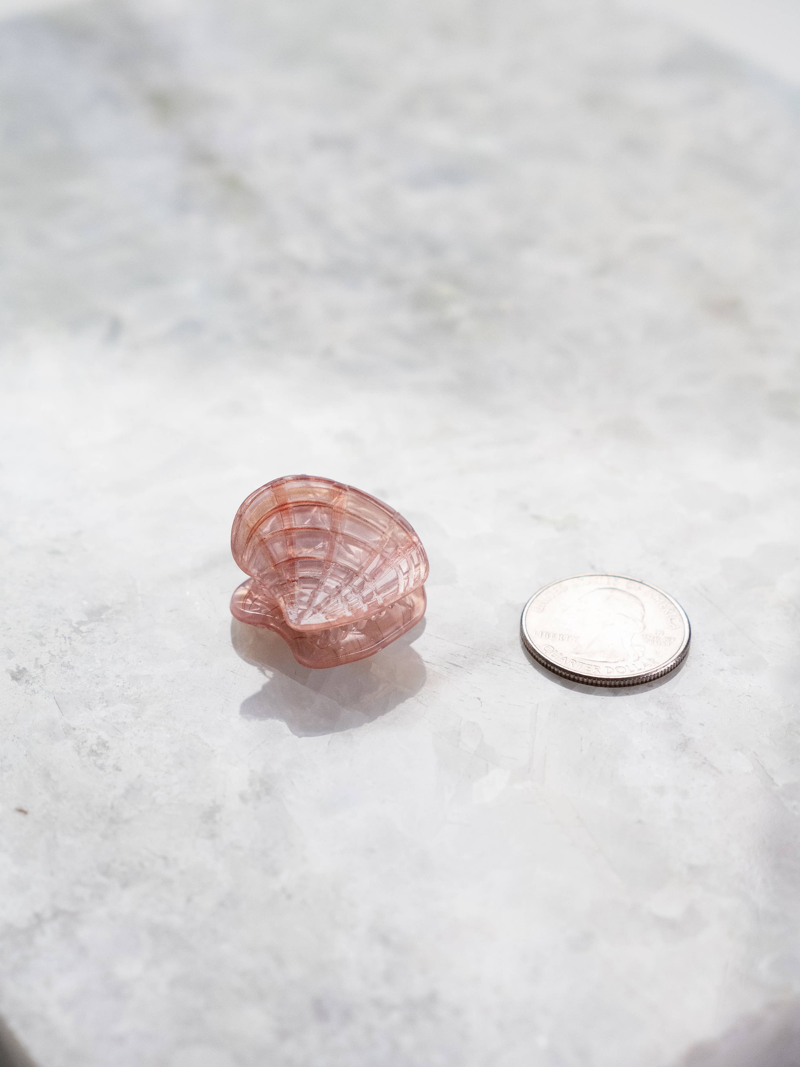 Eco Friendly Seashell Hair Clips, Tiny