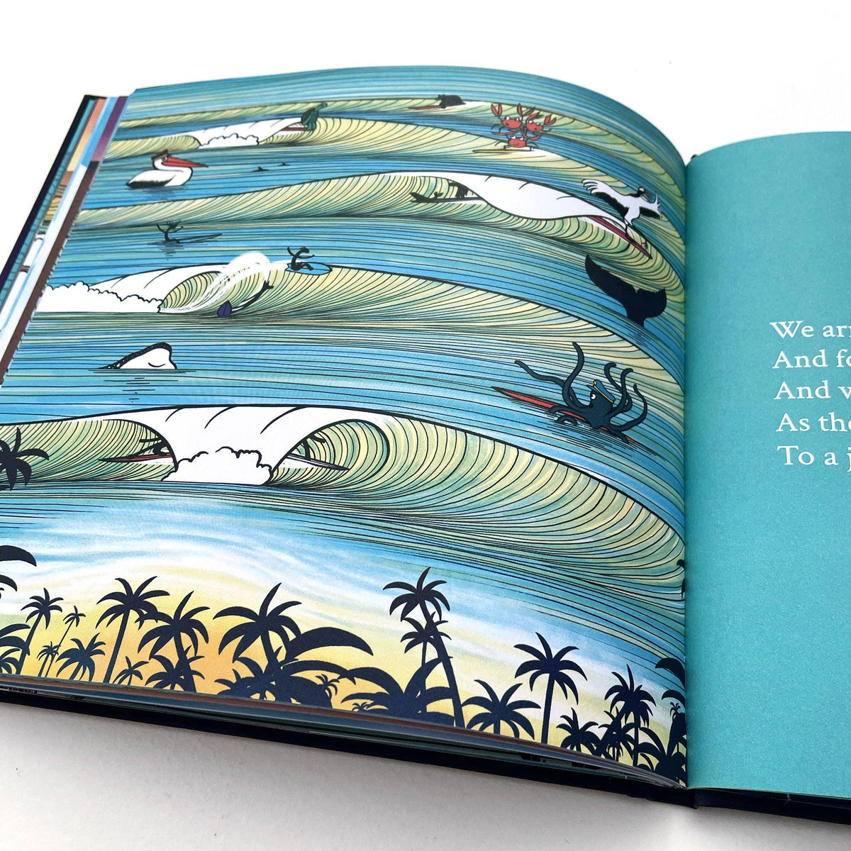 Surfing Animals - The Magic Trip