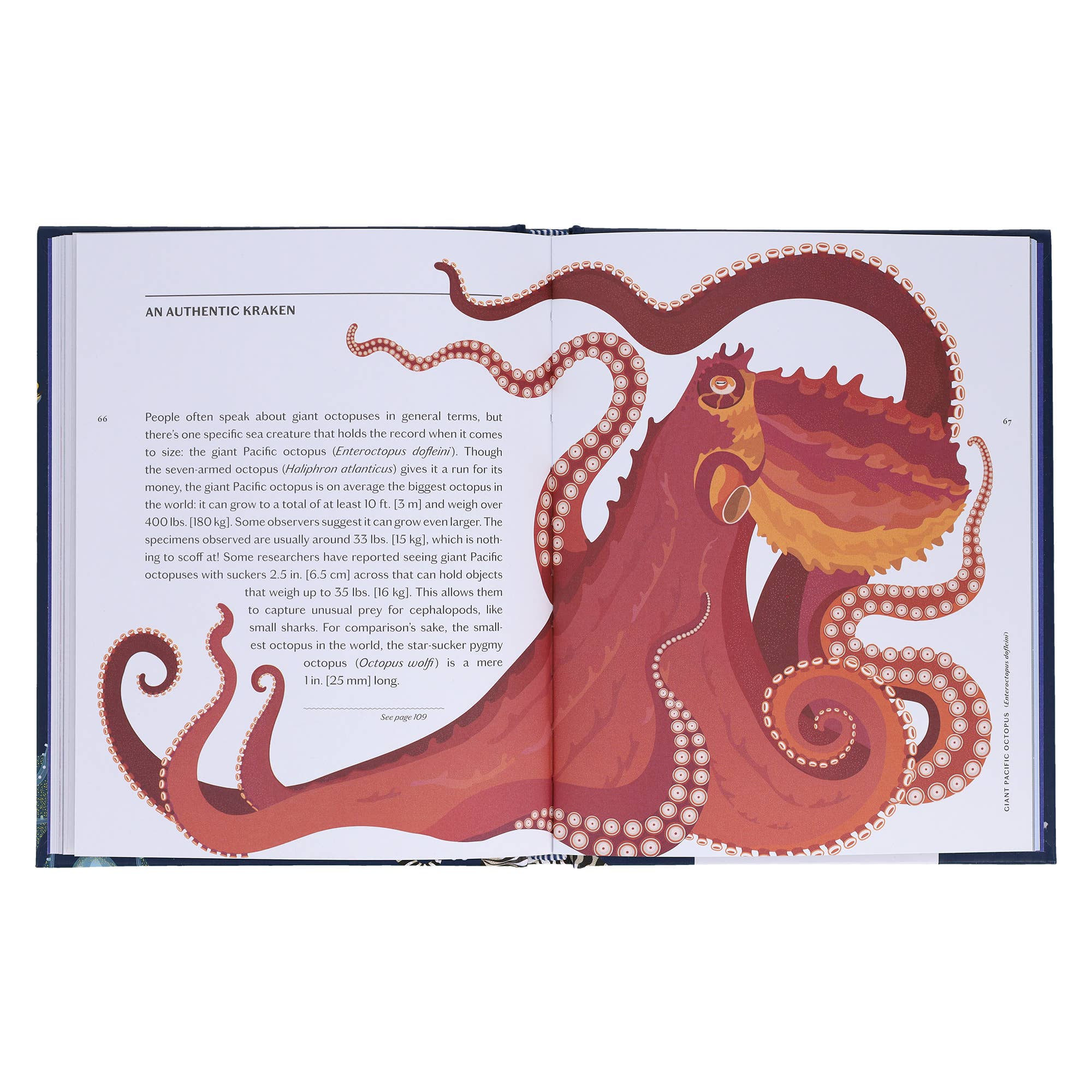 Sea Wonders