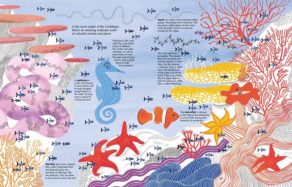 1001 Fish