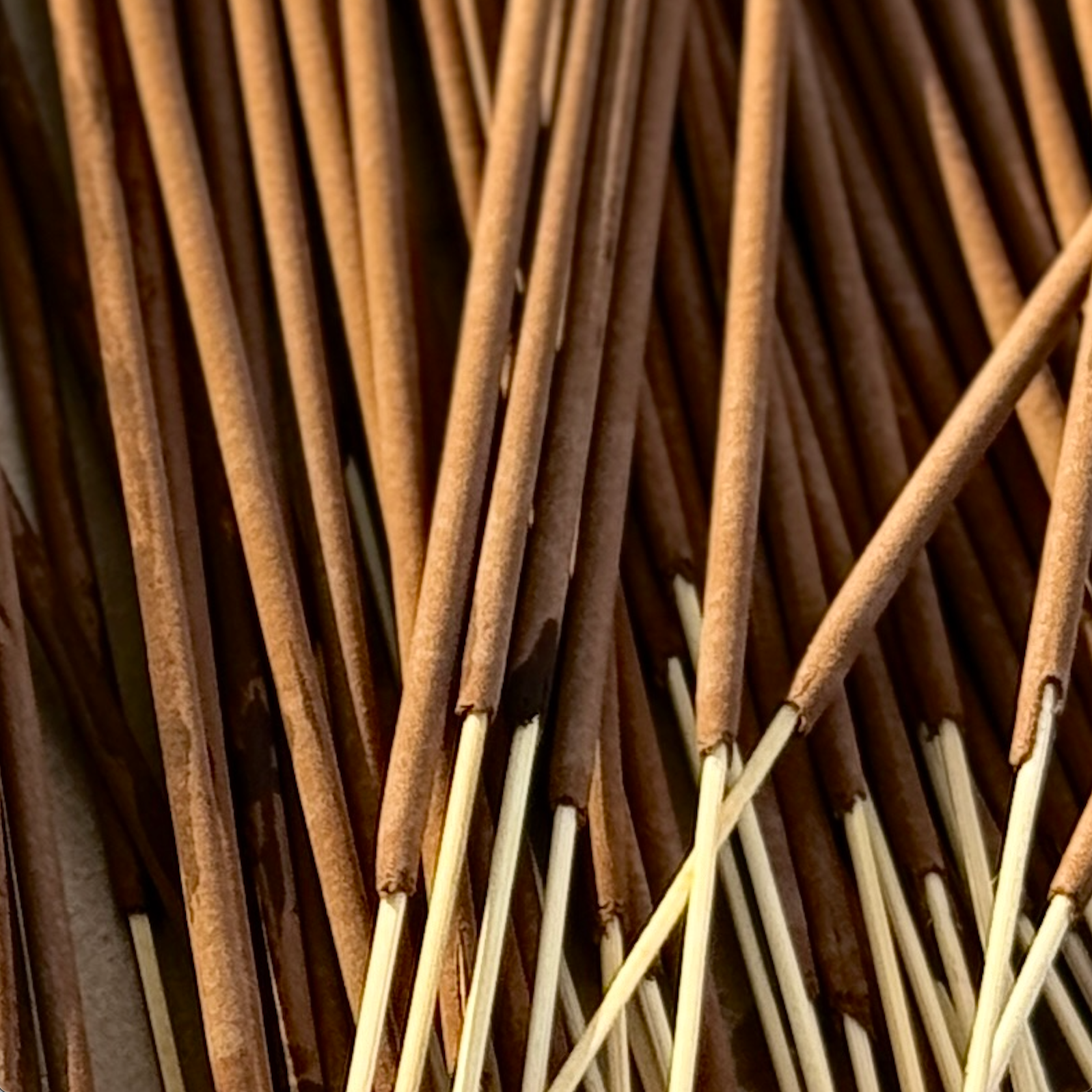 Desert Fleur Hand-Rolled Incense Sticks | Earthy & Iconic