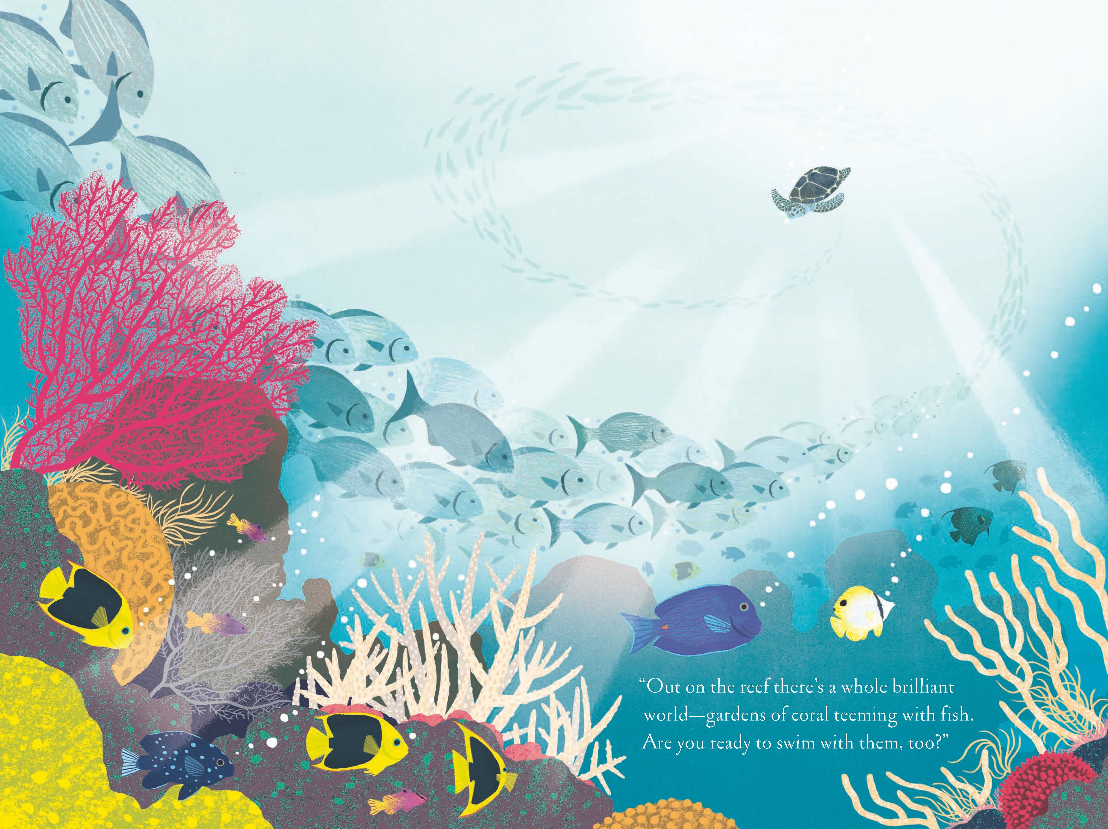 Over and Under the Coral Reef