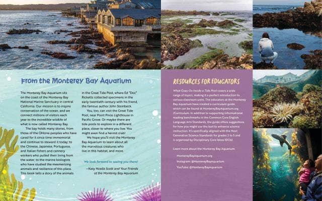 What Goes On Inside a Tide Pool